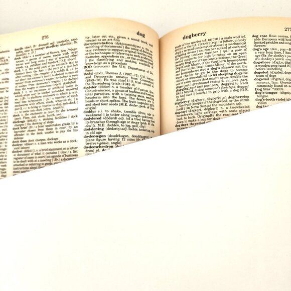 Vintage leather bound Webster's dictionary - Picture 3 of 9